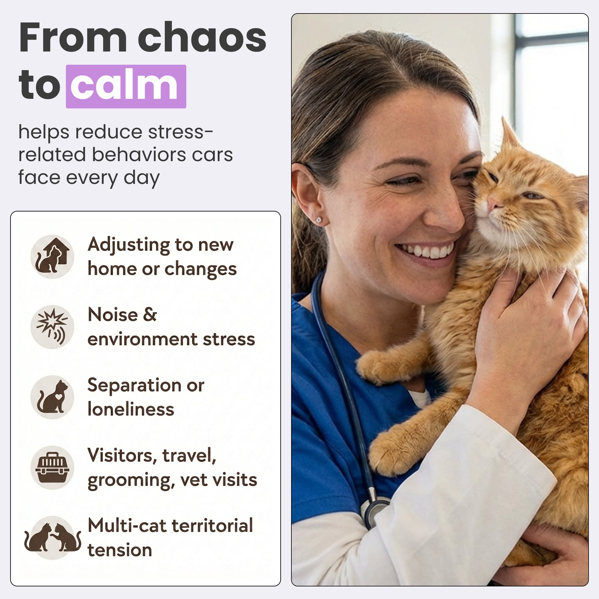 Cats Calming Diffuser Set