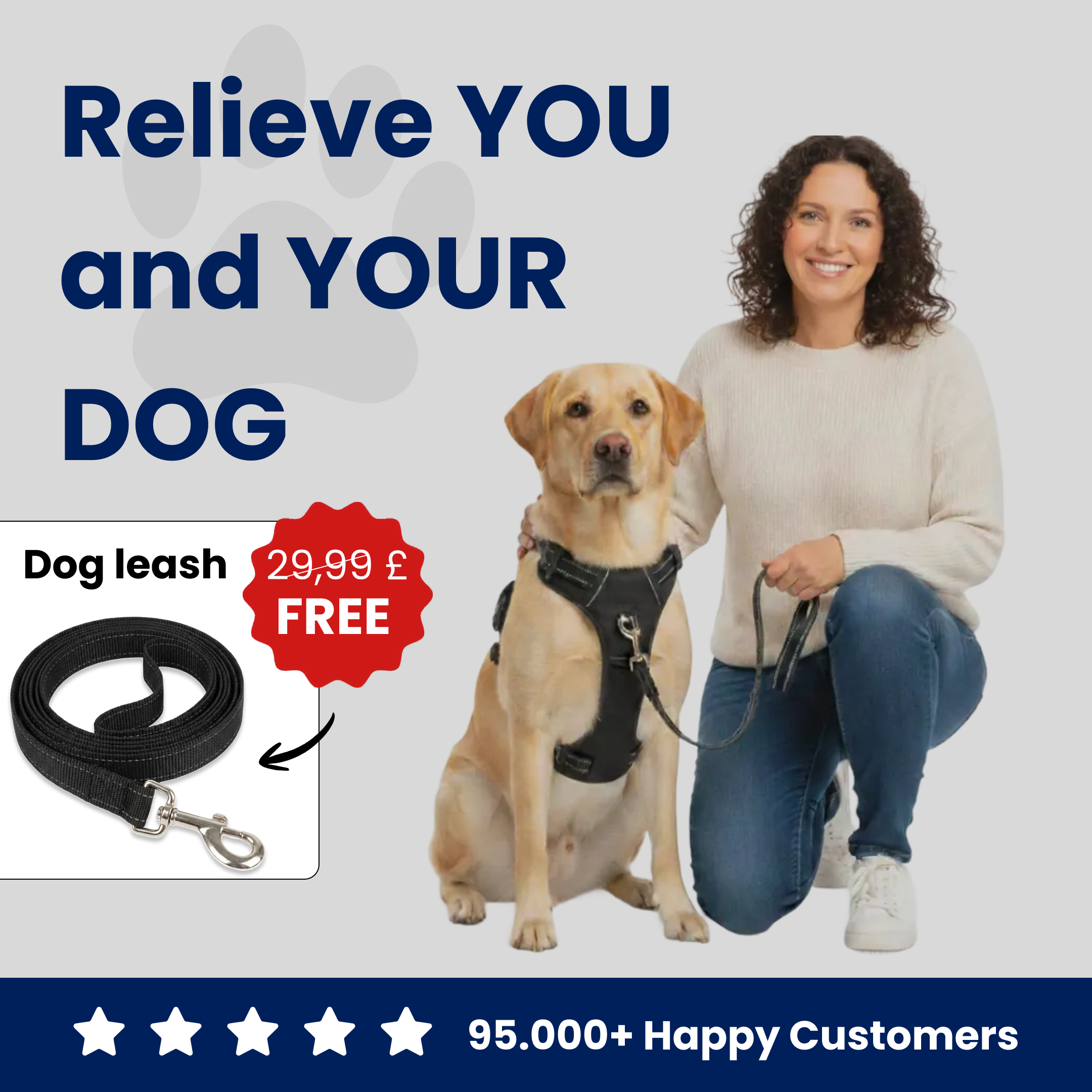 Pawyful | No-pull harness